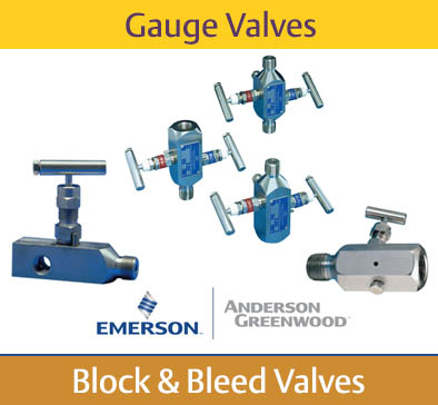 Gauge Valves Catalogs